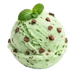 Mint Chocolate Chip Ice cream